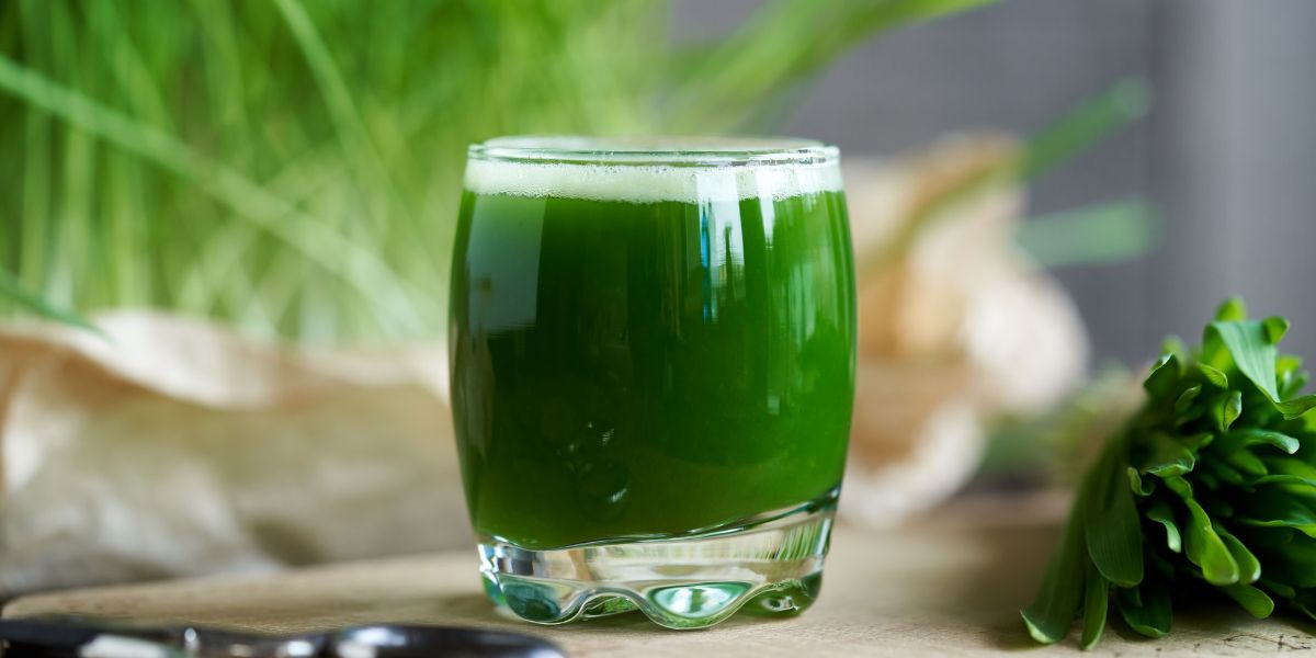 Cara Membuat Resep Air Pandan Suji Untuk Bikin Berbagai Macam Kue di Rumah