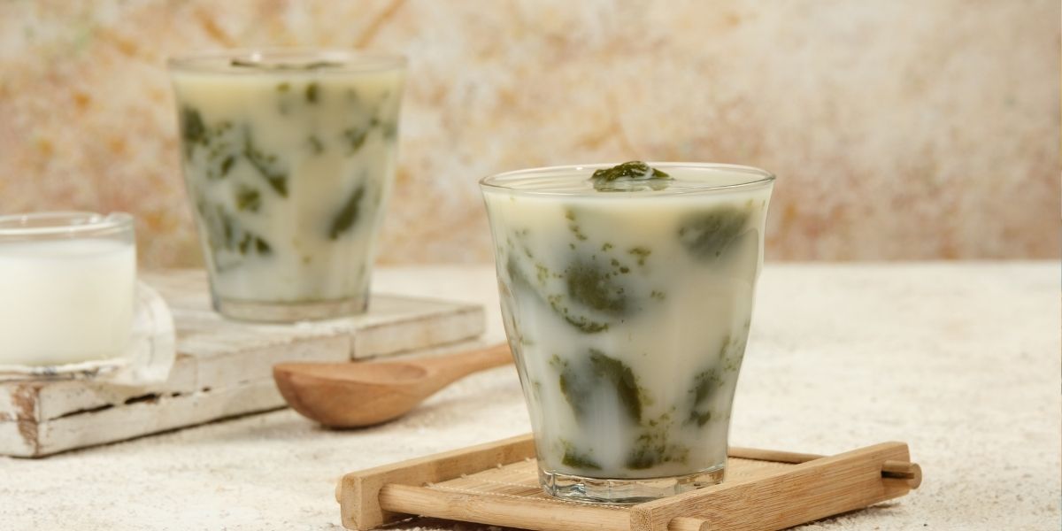 Cara Membuat Resep Es Cincau Hijau Kaya Manfaat Untuk Jualan di Rumah