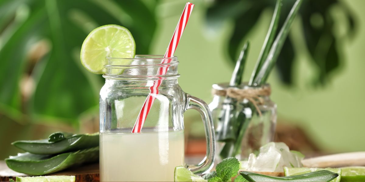 Cuaca Panas Banget? Yuk Sejukkan Dengan Resep Es Lidah Buaya Selasih